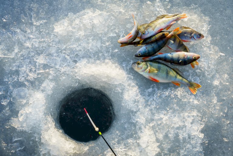 Best Ice Fishing Flashers