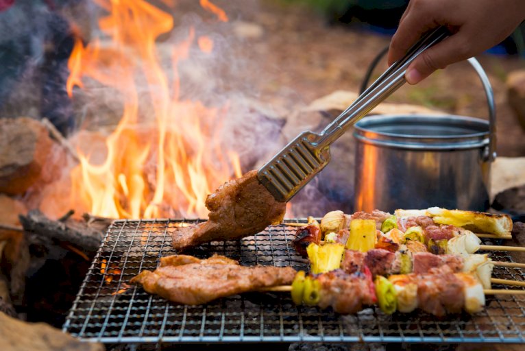 Best Camping Grills